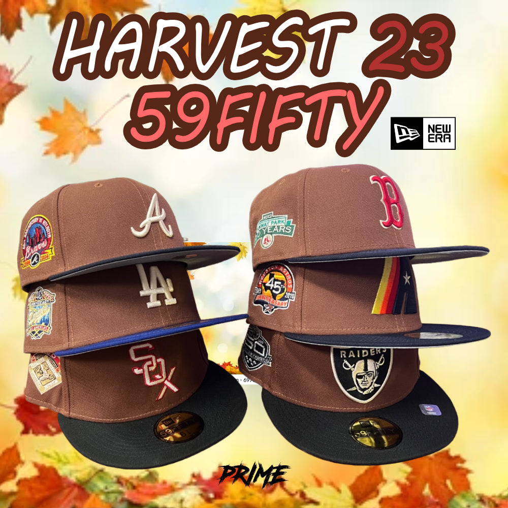 Harvest 23 Collection