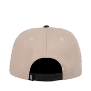 Back of JC Brand Watermelon Cat Black/Beige Snapback Hat 