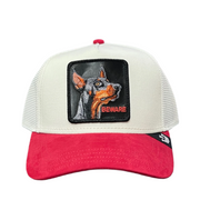 White and Red Goorin Bros The Doberman trucker snapback