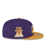 NewEra Hoston Astros Fitted cap.