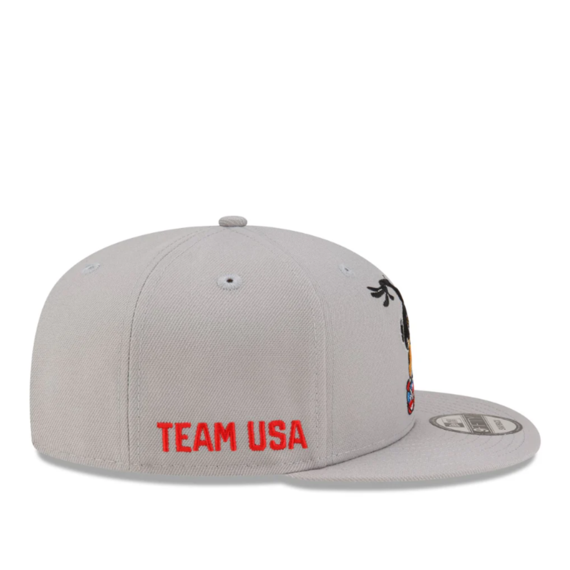 Gray Olympics Team USA x Daffy Duck Skateboarding New Era 9FIFTY Snapback Hat