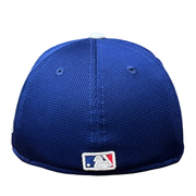 NewEra MLB Los Angeles Dodgers D Logo 2024 Batting Practice 59FIFTY Fitted Men's Hat