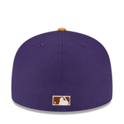 NewEra Hoston Astros Fitted cap.