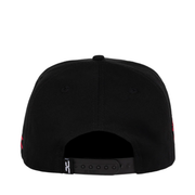 Back of JC Brand Watermelon Cat Black Snapback Hat