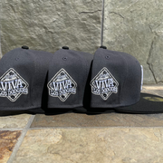 Graphite Black Los Angeles Dodgers Viva New Era 59FIFTY Fitted Hat